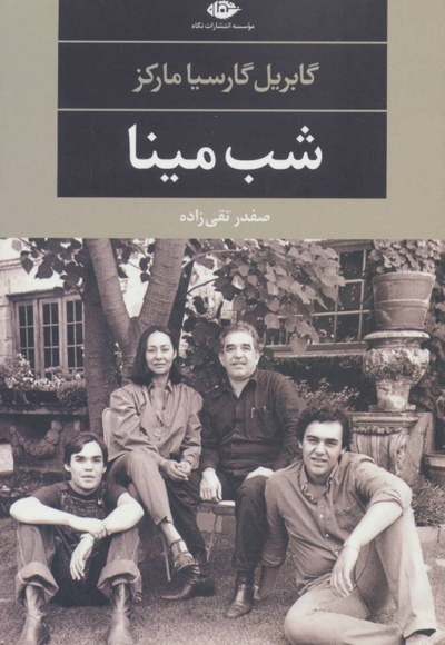 شب مینا